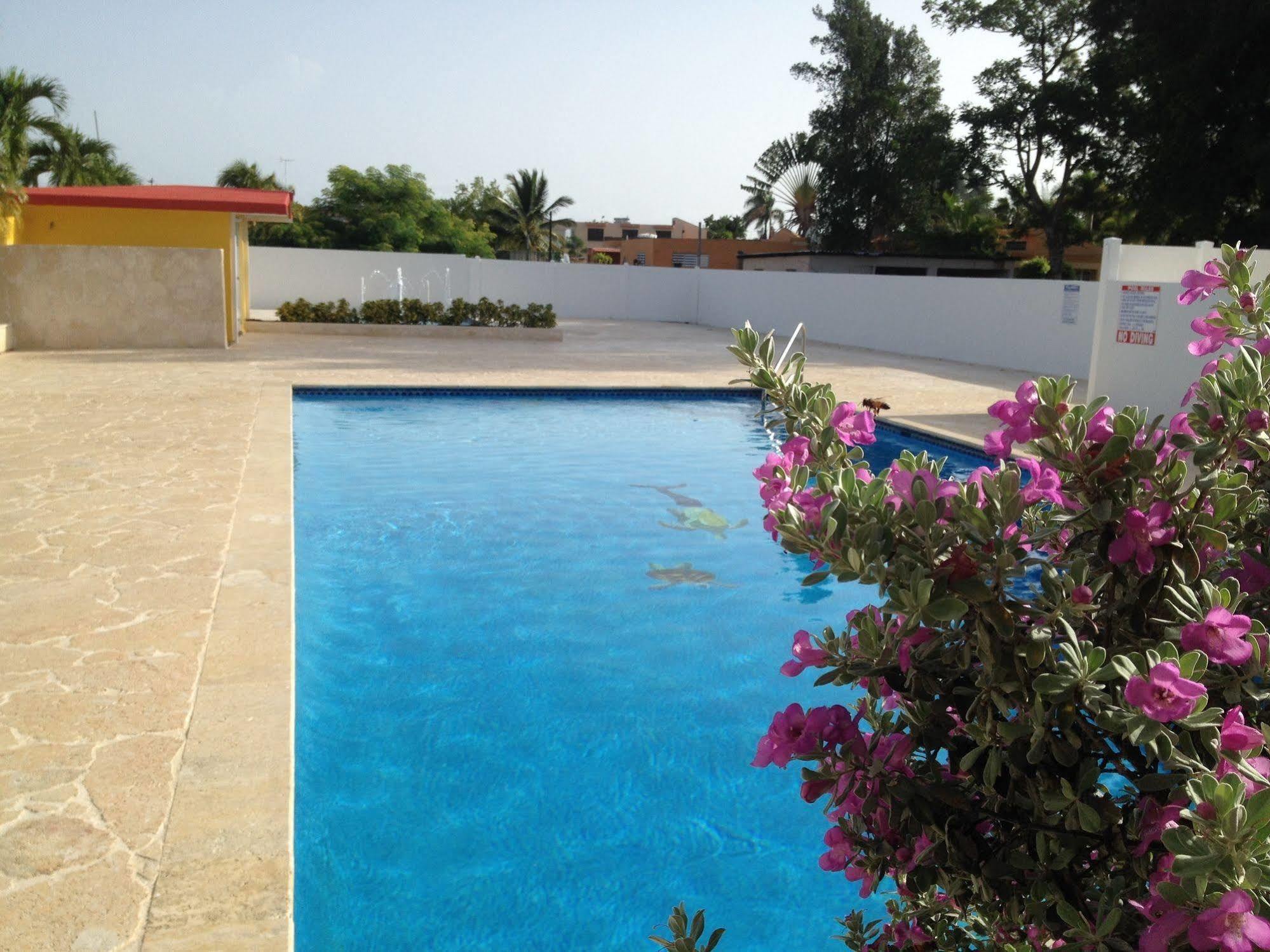 Arecibo Inn Екстер'єр фото